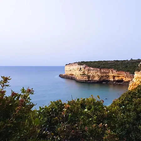 Typical Tm Flat With A Refreshing Terrace In Vsr #B *